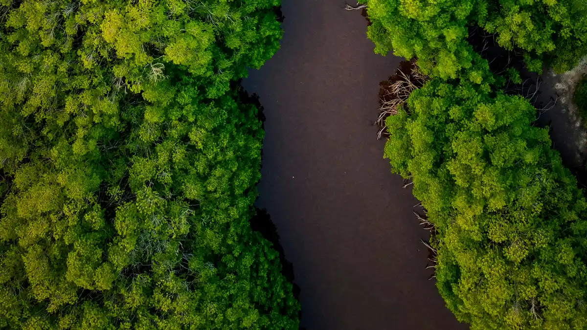 uma imagem área de um rio na amazônia